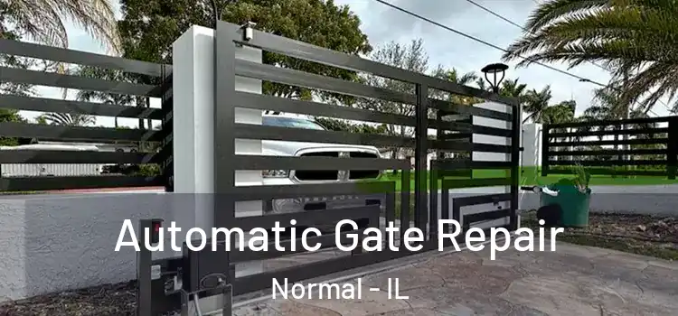  Automatic Gate Repair Normal - IL