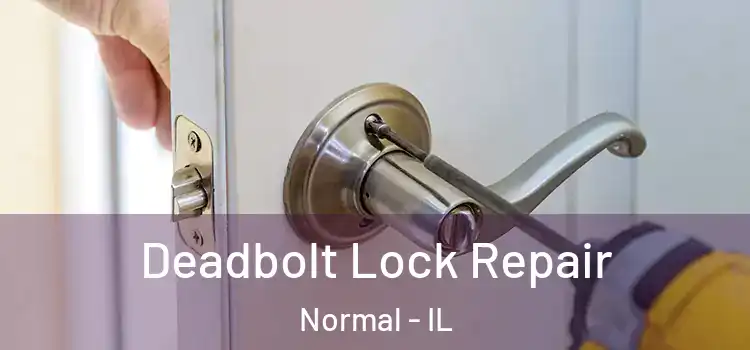 Deadbolt Lock Repair Normal - IL