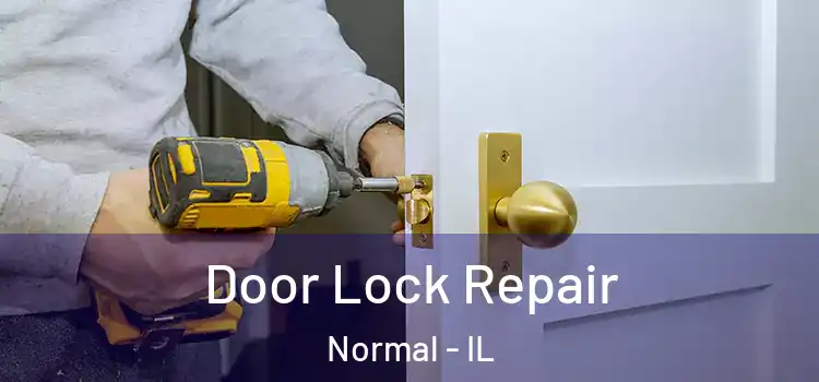  Door Lock Repair Normal - IL