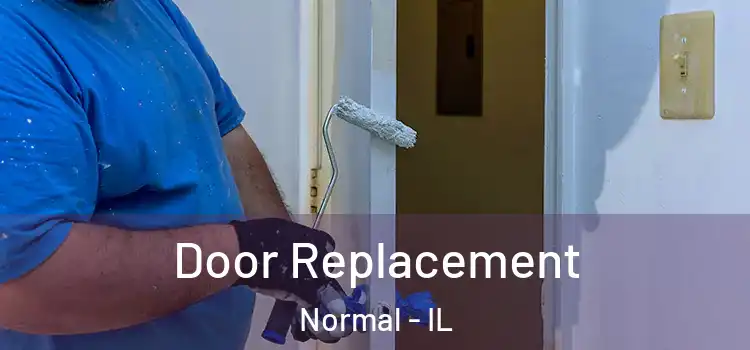  Door Replacement Normal - IL