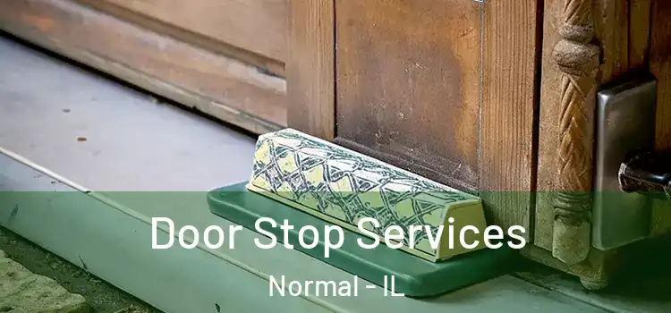  Door Stop Services Normal - IL
