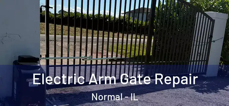  Electric Arm Gate Repair Normal - IL