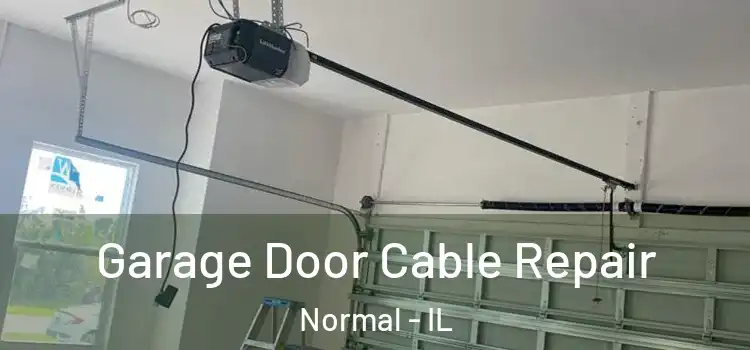  Garage Door Cable Repair Normal - IL