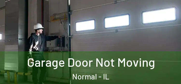  Garage Door Not Moving Normal - IL
