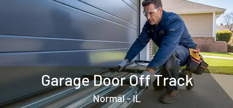  Garage Door Off Track Normal - IL