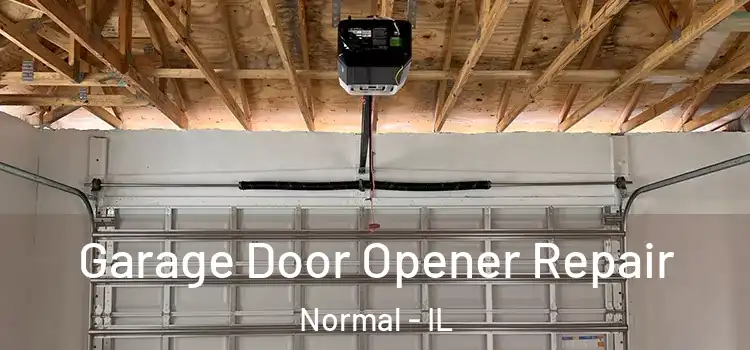  Garage Door Opener Repair Normal - IL