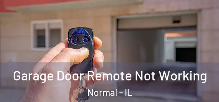  Garage Door Remote Not Working Normal - IL