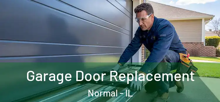  Garage Door Replacement Normal - IL