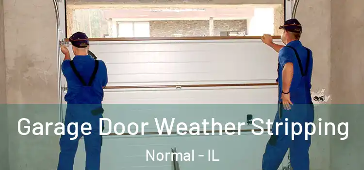  Garage Door Weather Stripping Normal - IL