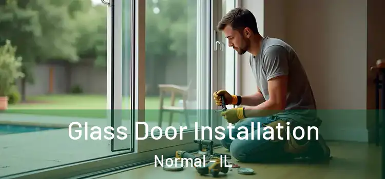Glass Door Installation Normal - IL