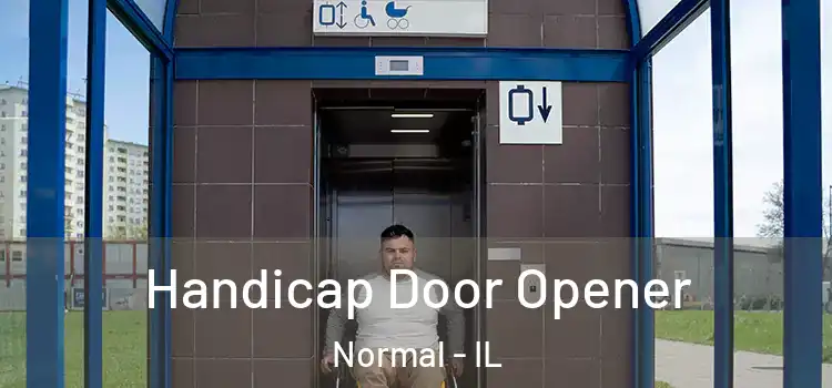  Handicap Door Opener Normal - IL