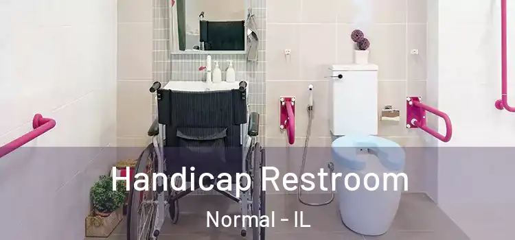 Handicap Restroom Normal - IL