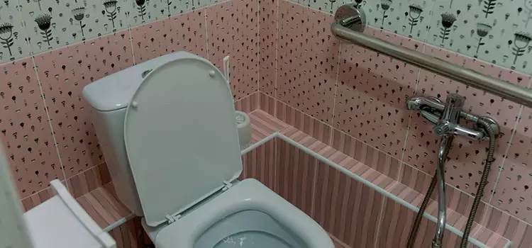 Meeting Diverse Needs With Accessible Restroom Solutions in Normal, IL