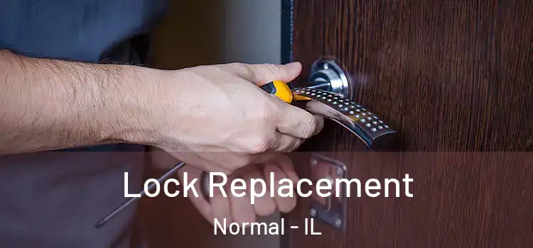  Lock Replacement Normal - IL