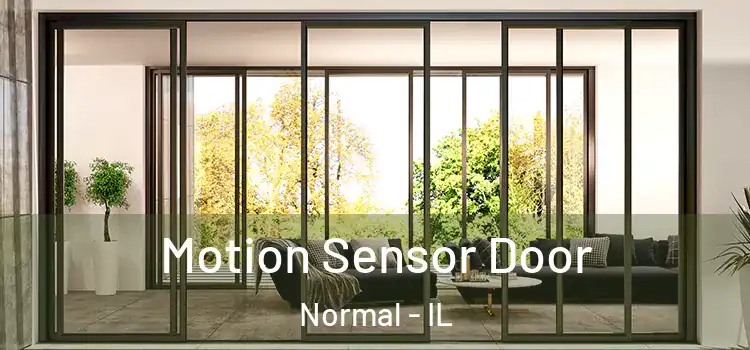  Motion Sensor Door Normal - IL