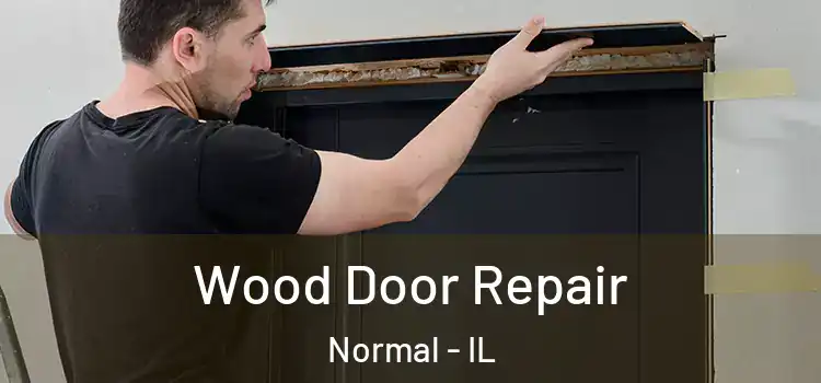 Wood Door Repair Normal - IL